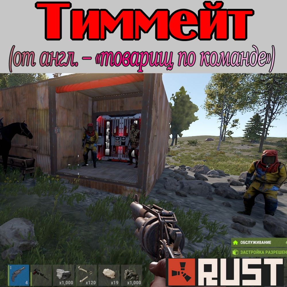 Что такое - Тиммейт в игре Раст (Rust)